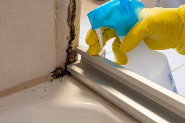 Best Mold Removal Company Near Me  in Bullard, TX