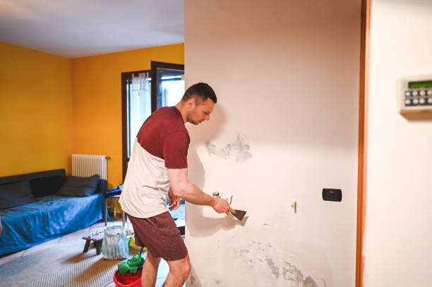 Best Mold Removal Specialists  in Bullard, TX