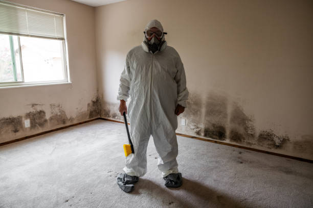 Best Attic Mold Removal  in Bullard, TX